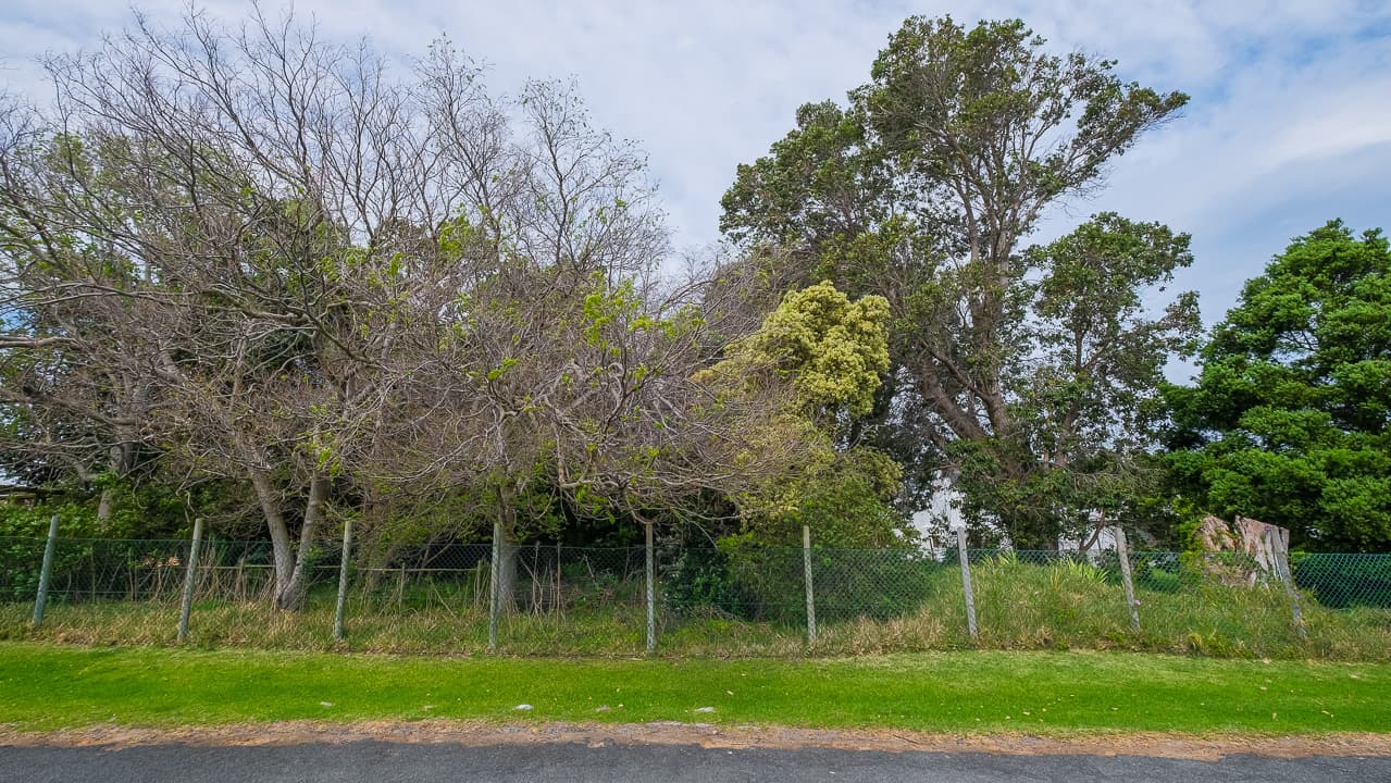 Image 16