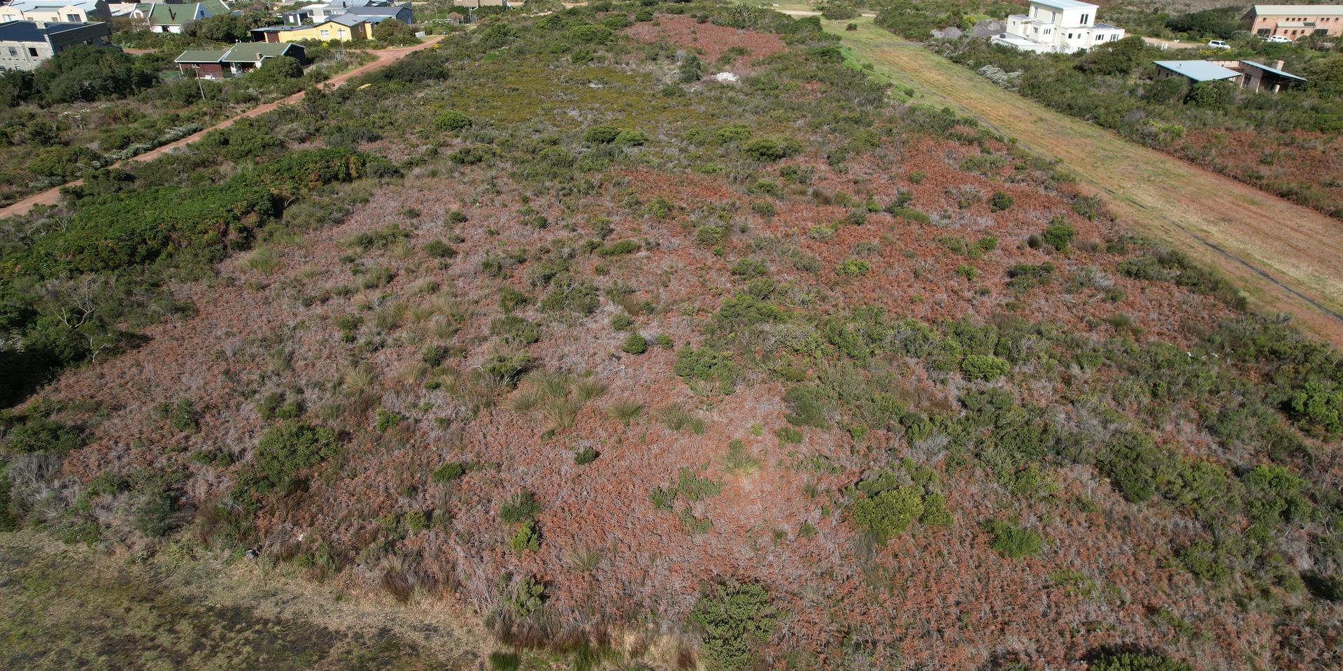 Image 4 of 6