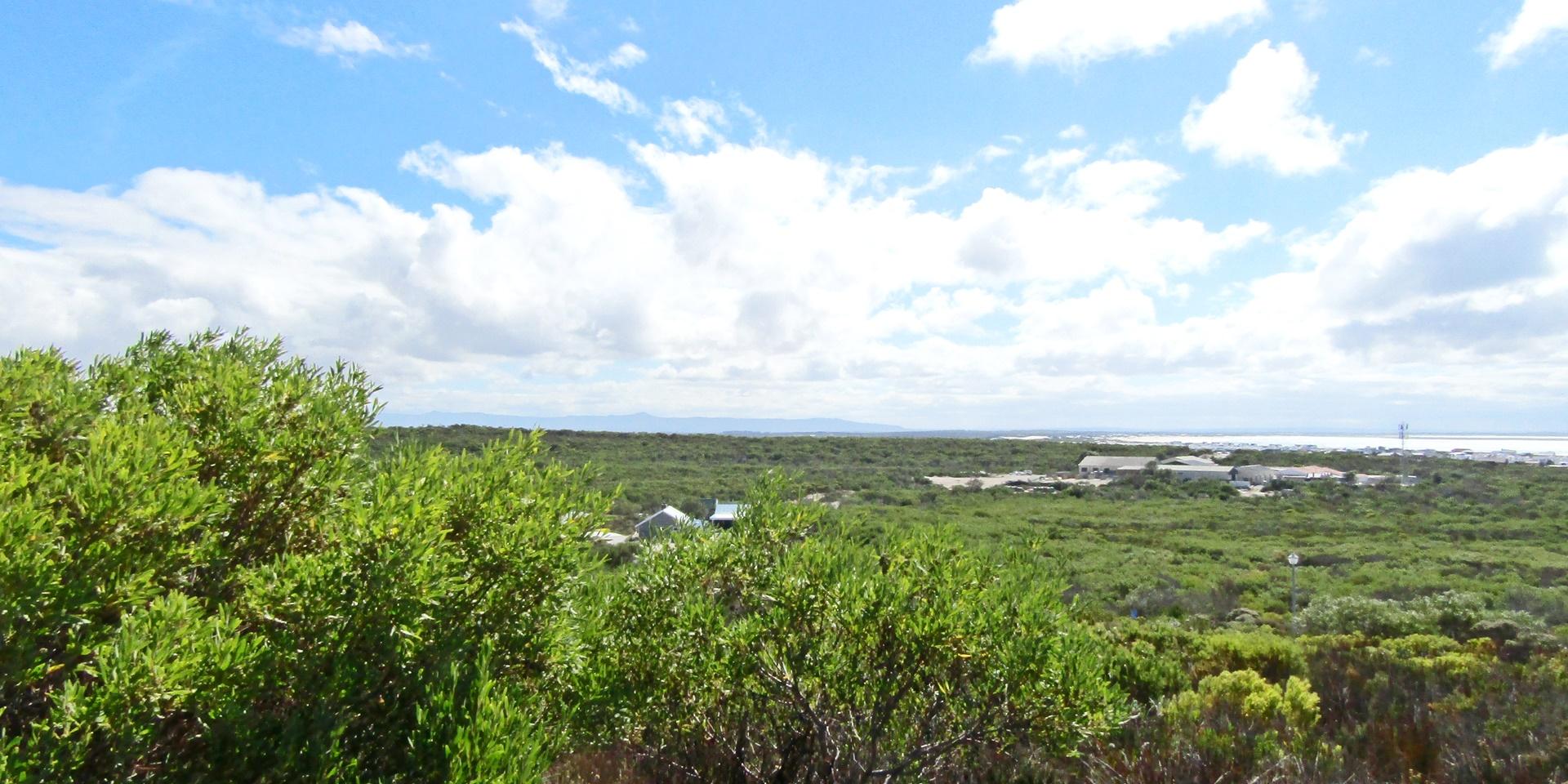 Image 5 of 6