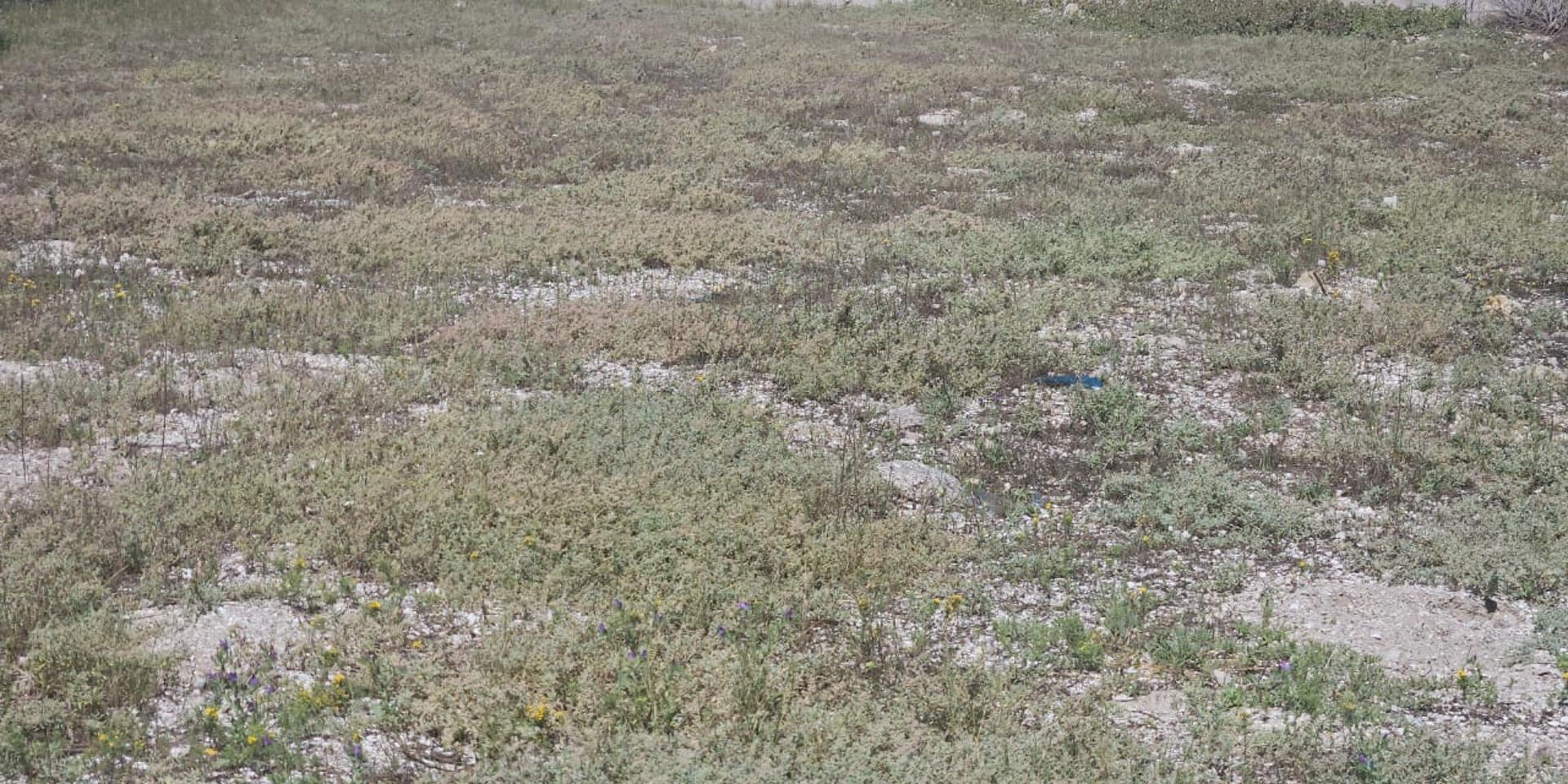 Image 5 of 6