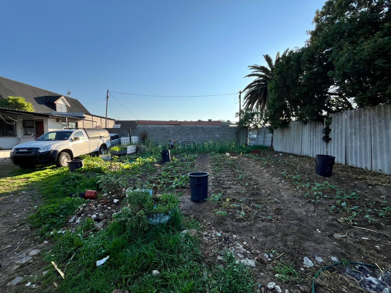 Image 15