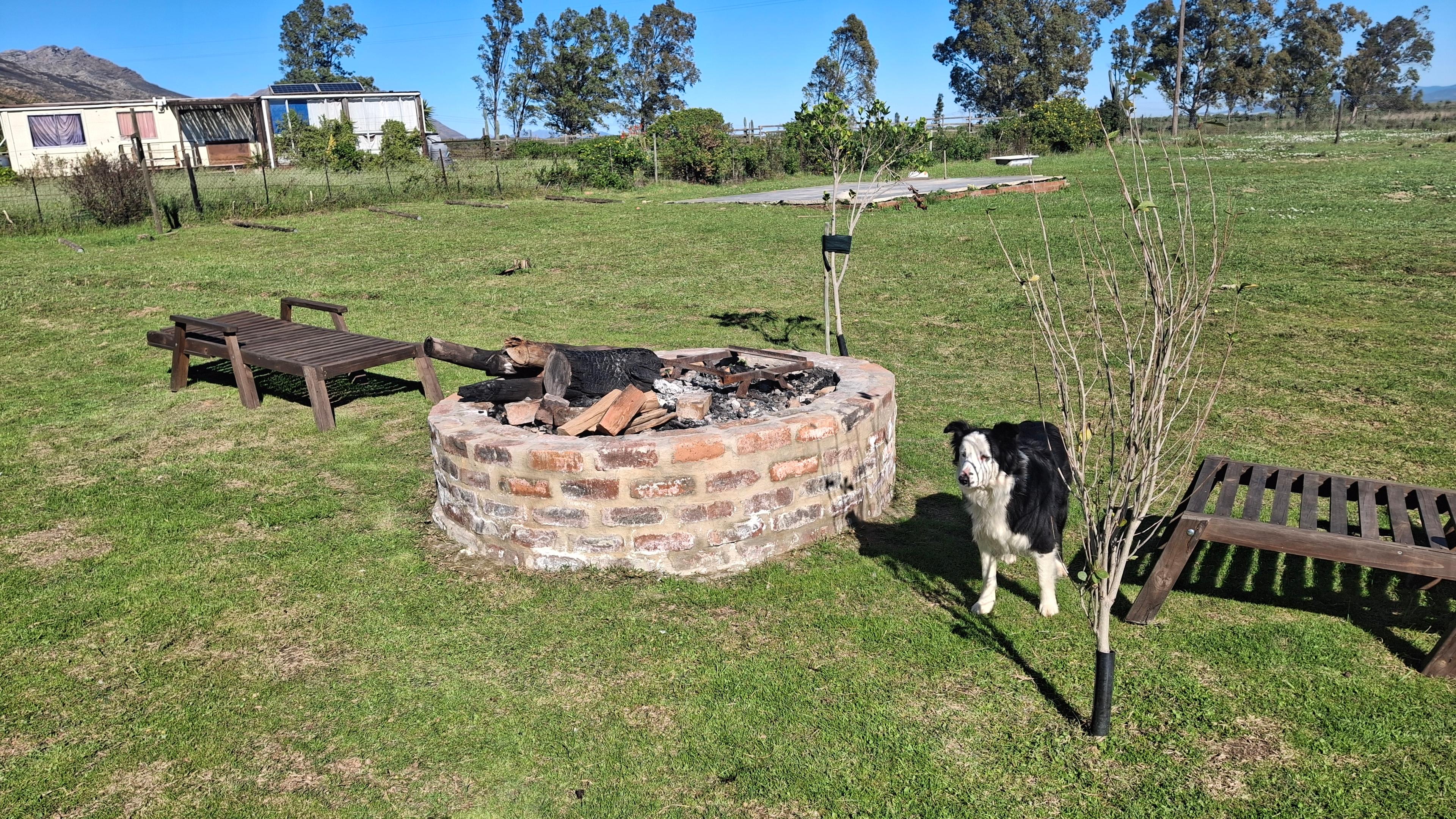 Image 48