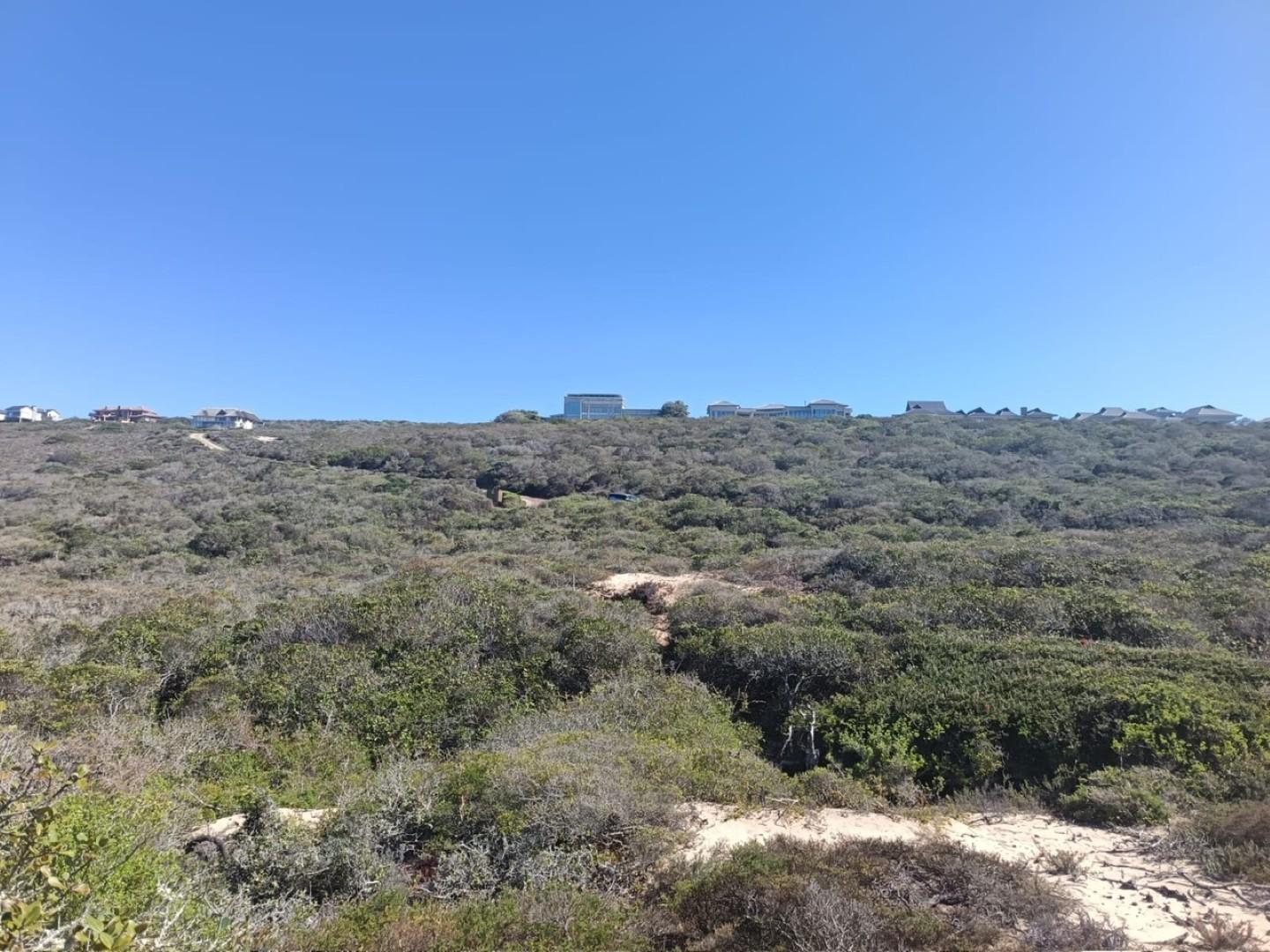 Image 4 of 6