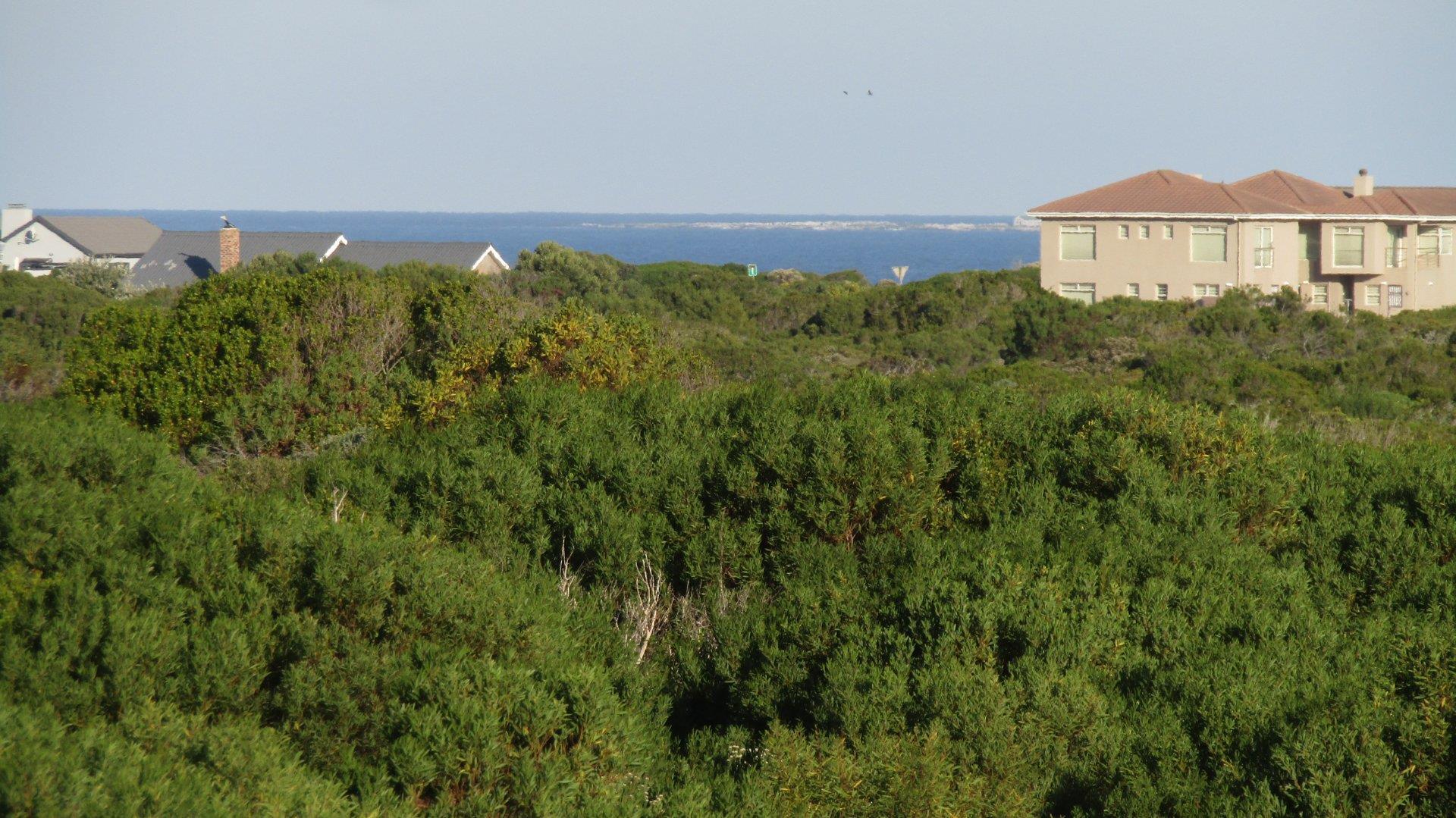 Image 2 of 6