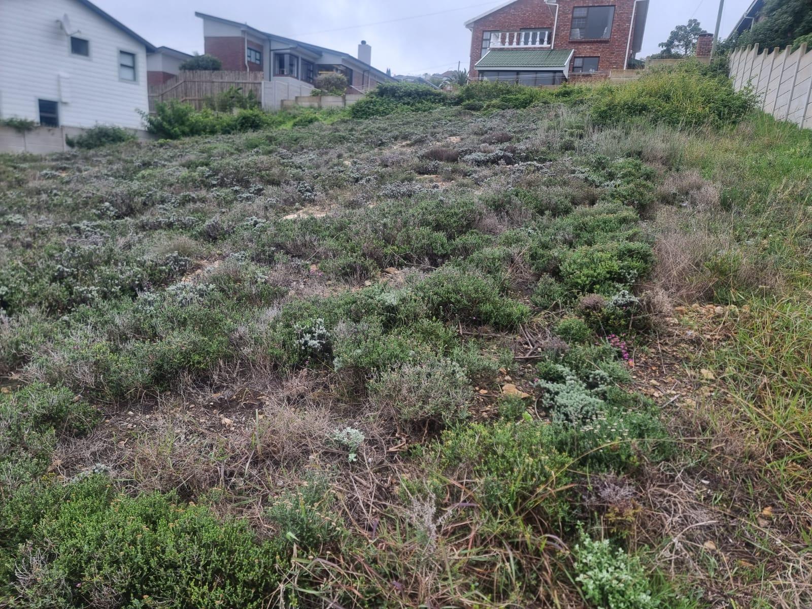 Image 3 of 6