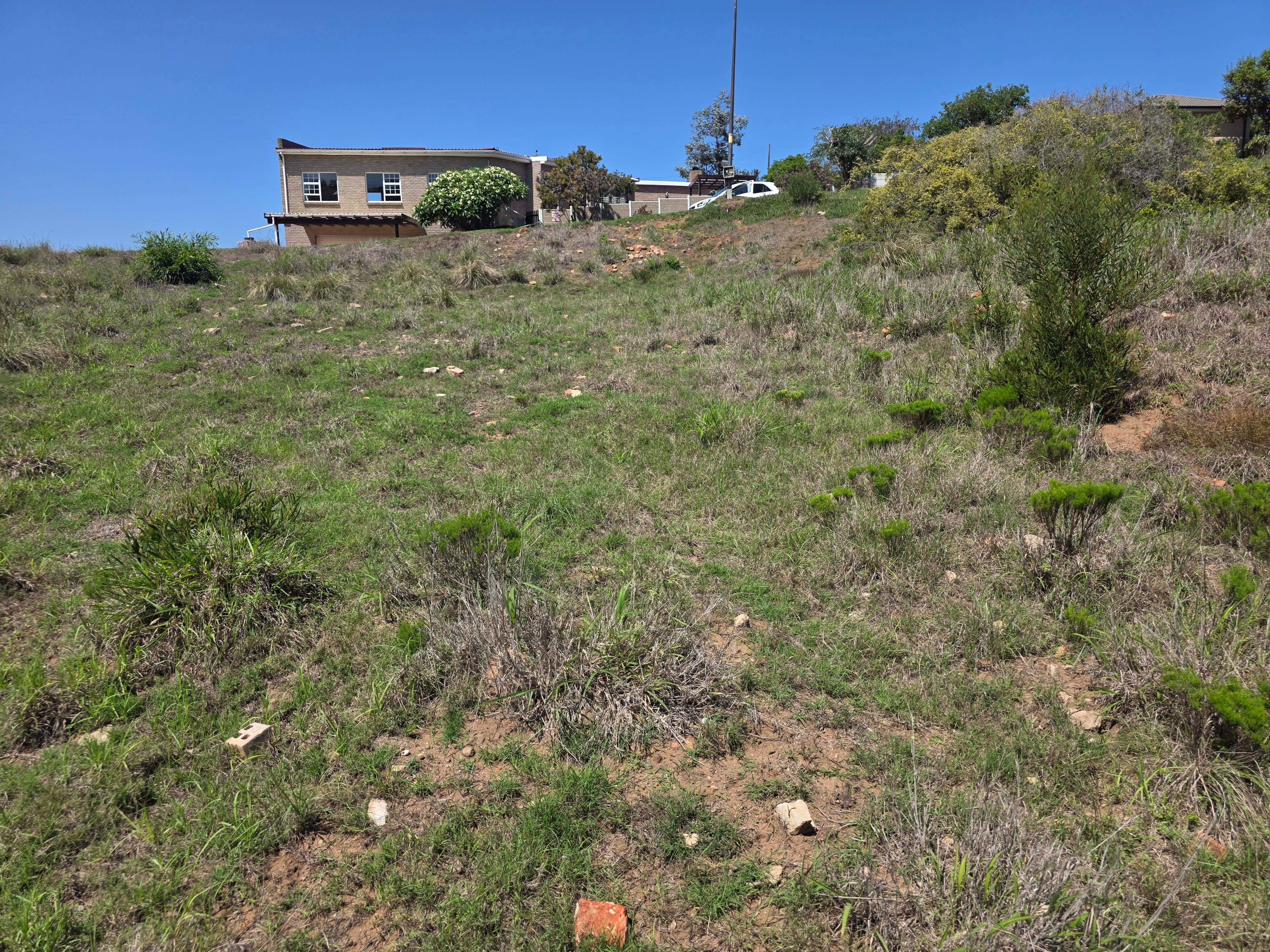 Image 13