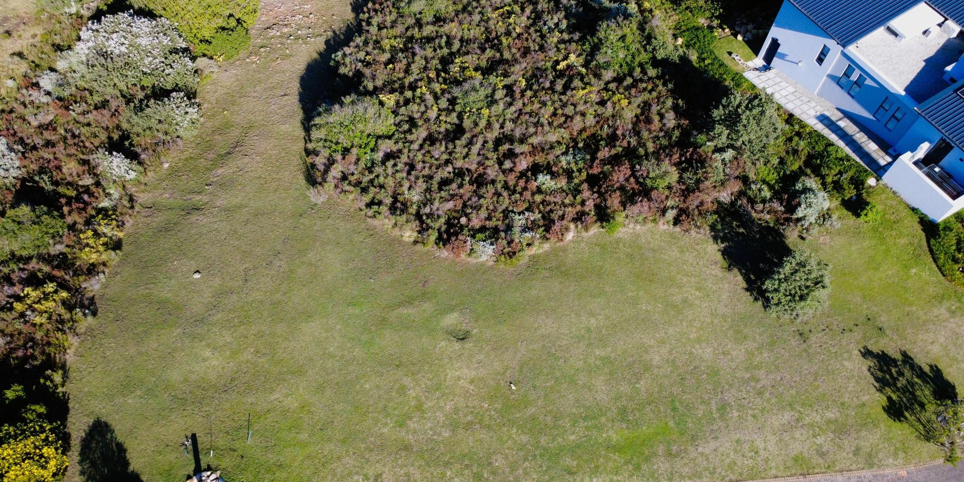 Image 2 of 6