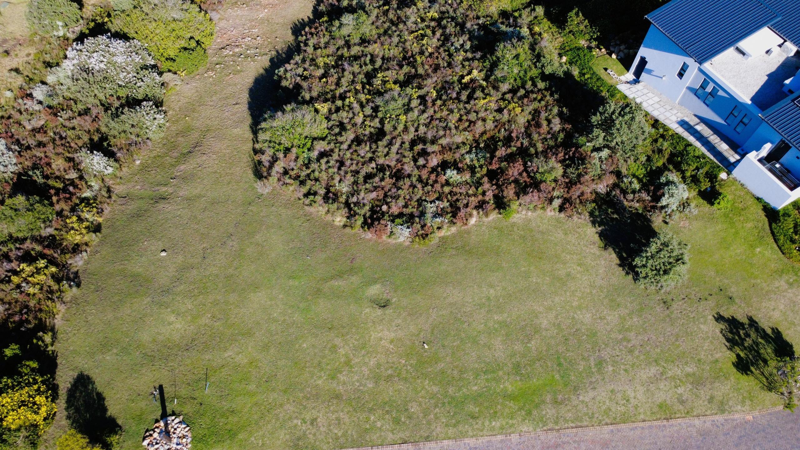 Image 2 of 6
