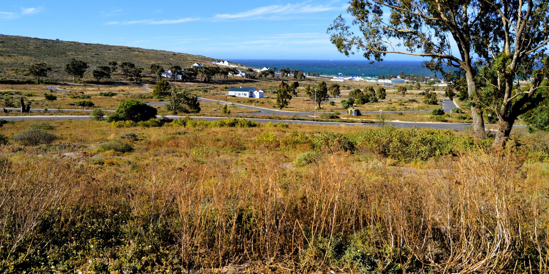 Image 3 of 6