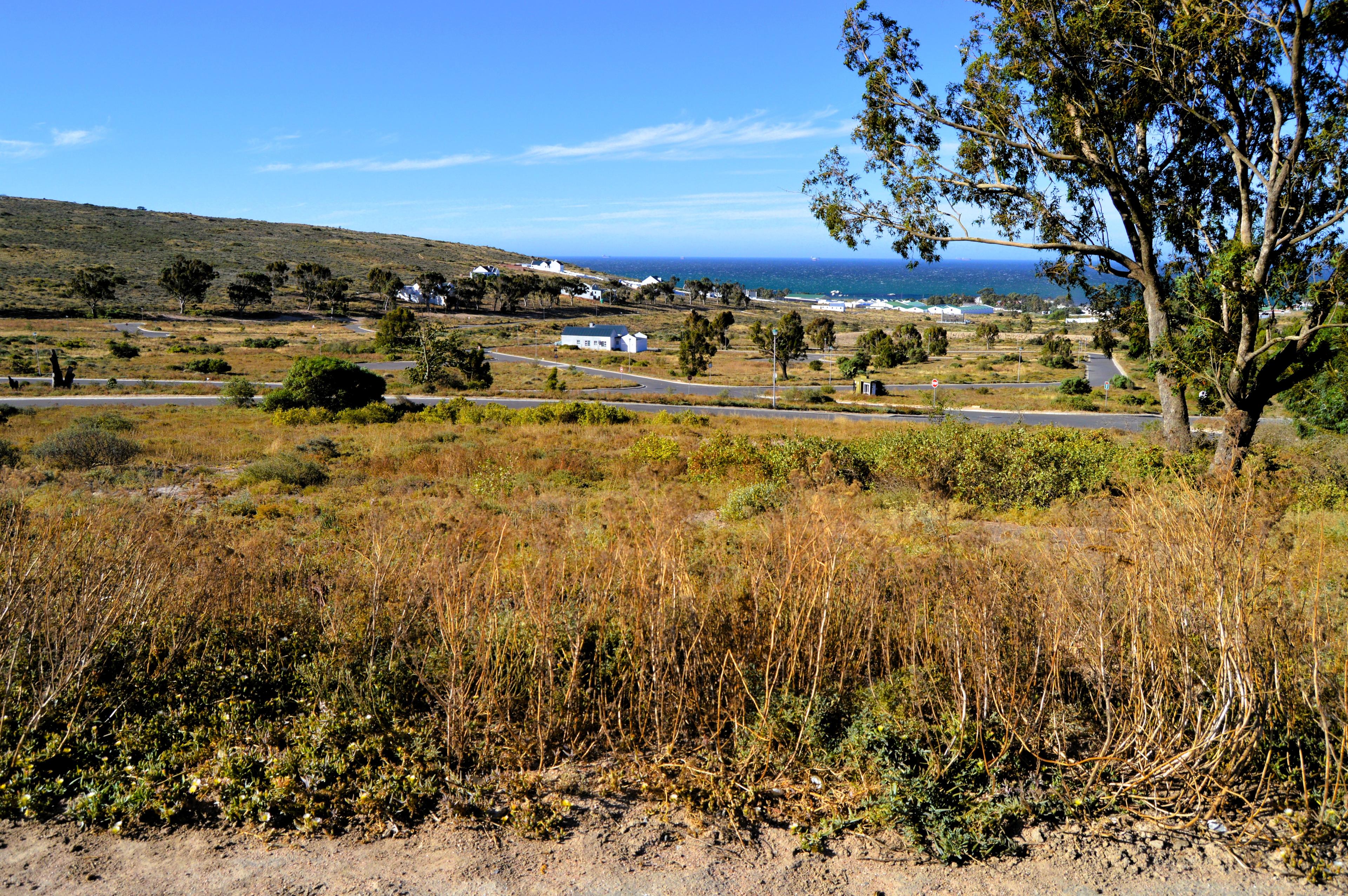 Image 3 of 6