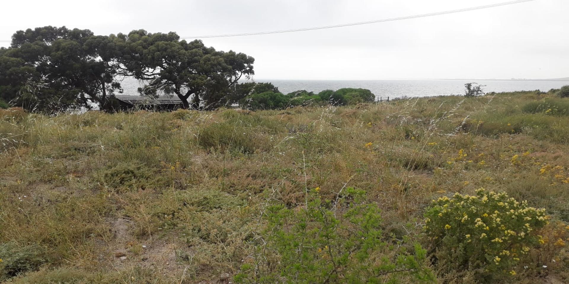 Image 5 of 6