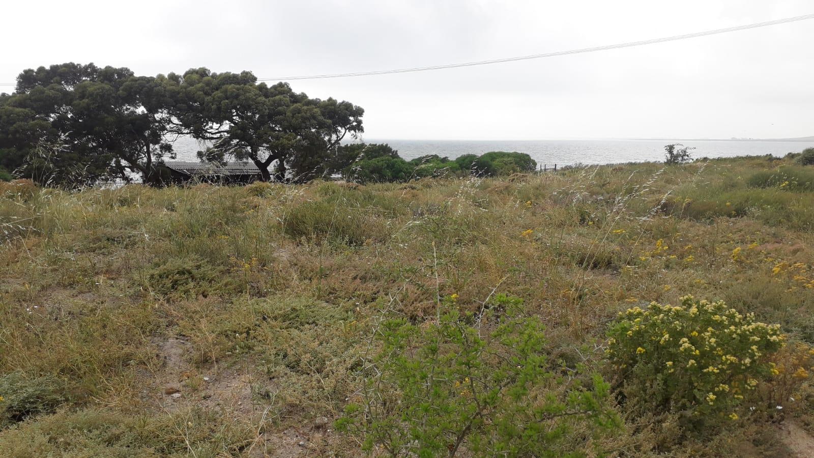 Image 5 of 6