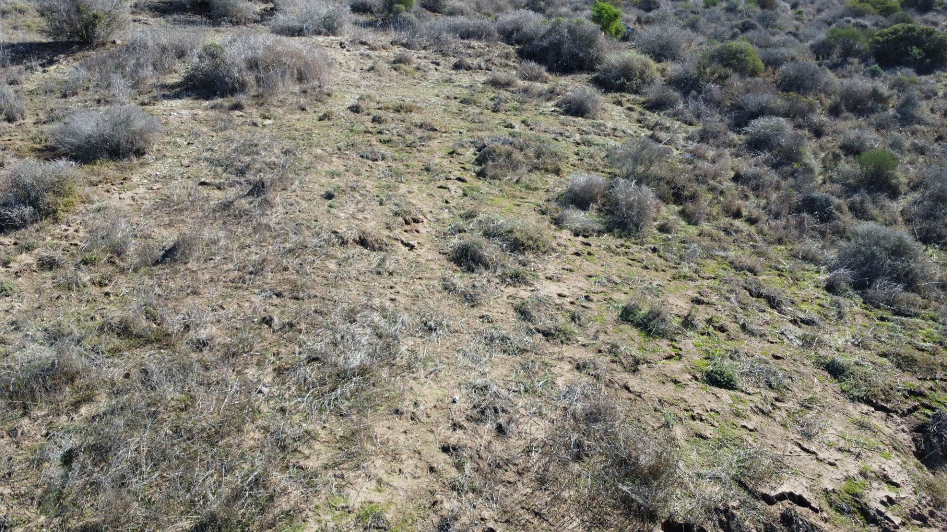 Image 4 of 6