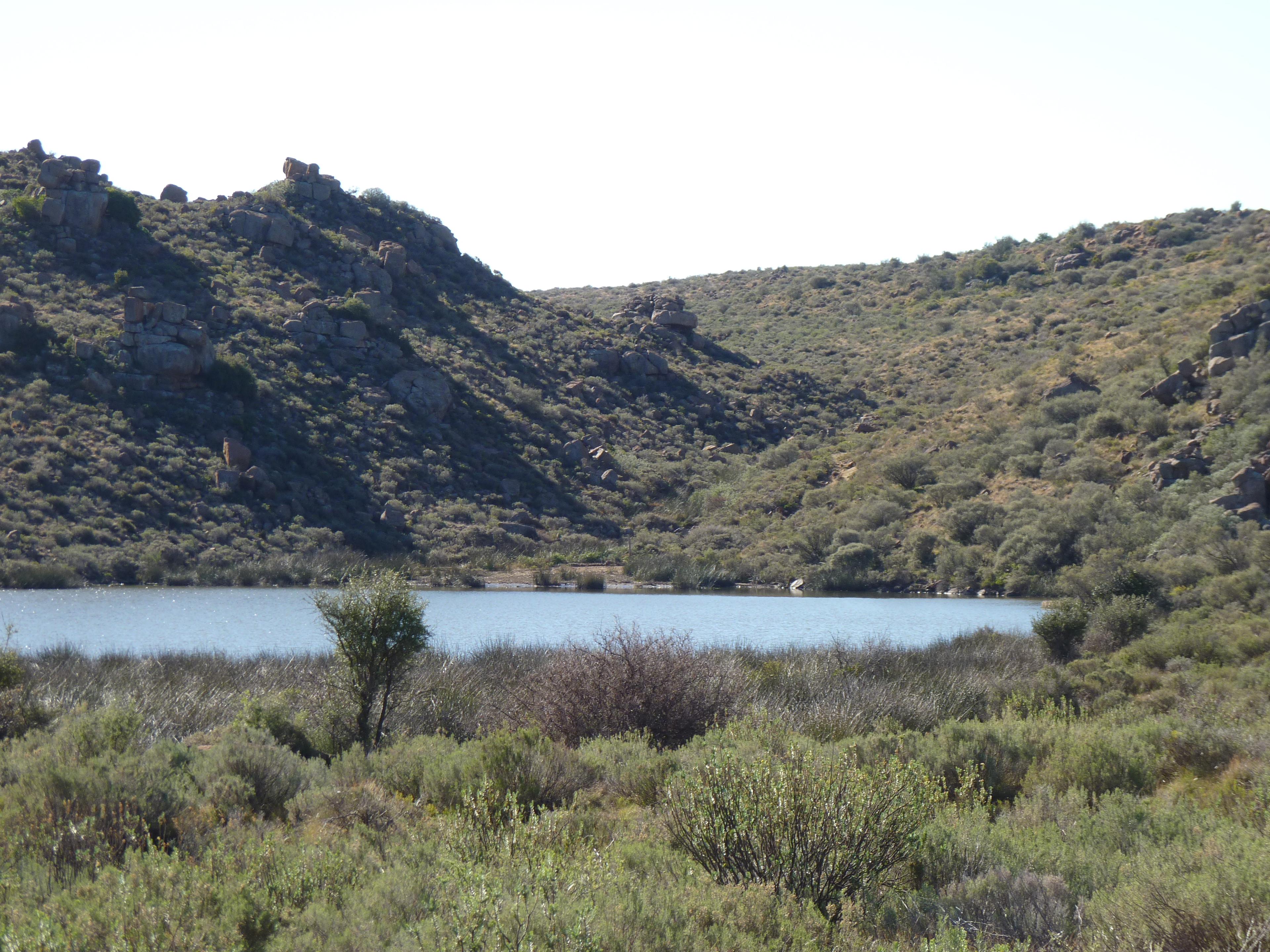 Image 49