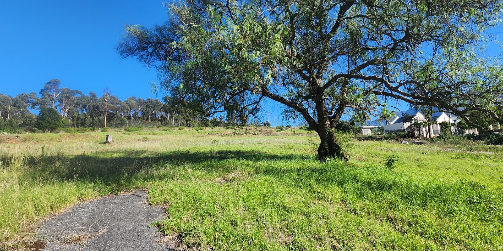 Image 4 of 6