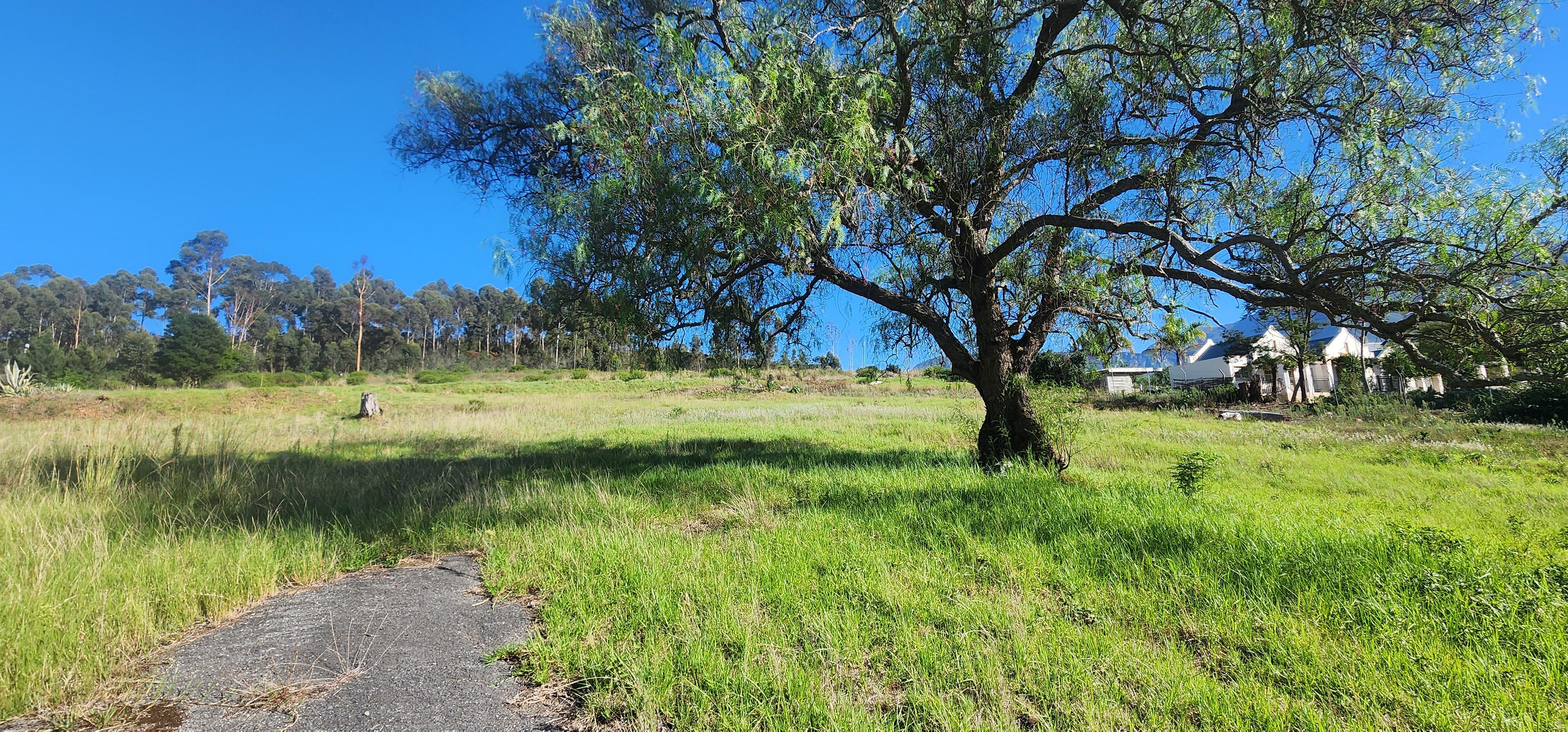 Image 4 of 6