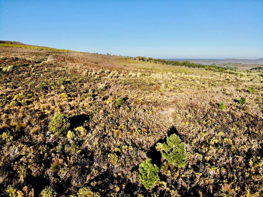 Image 18