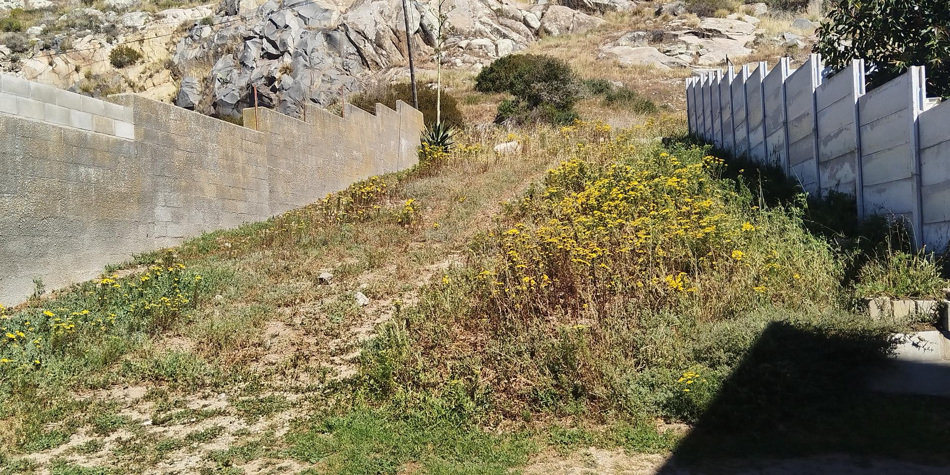 Image 3 of 6