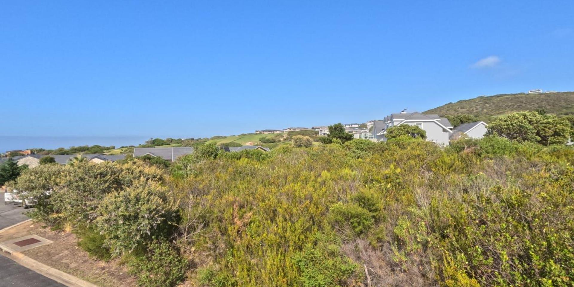 Image 5 of 6
