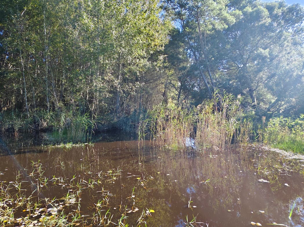 Image 13