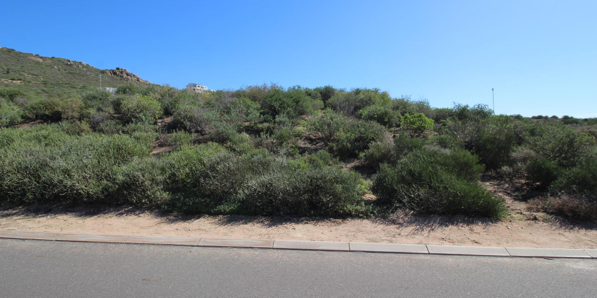 Image 5 of 6
