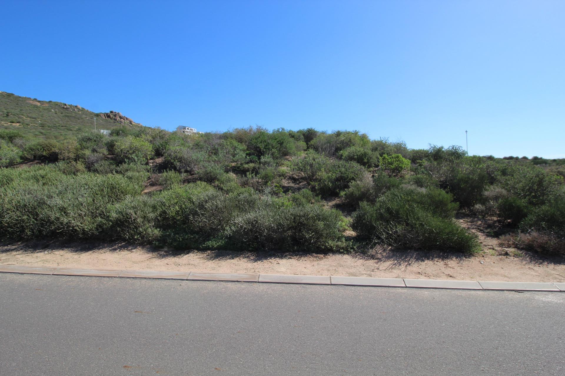 Image 5 of 6