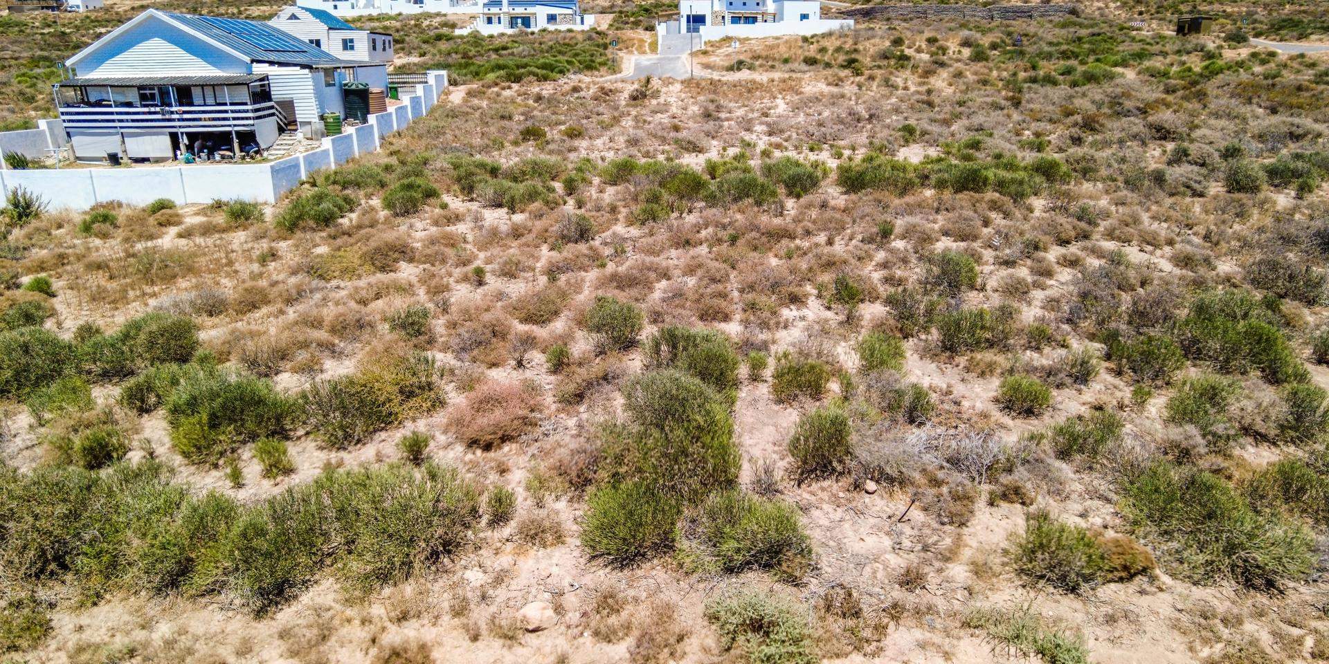 Image 4 of 6