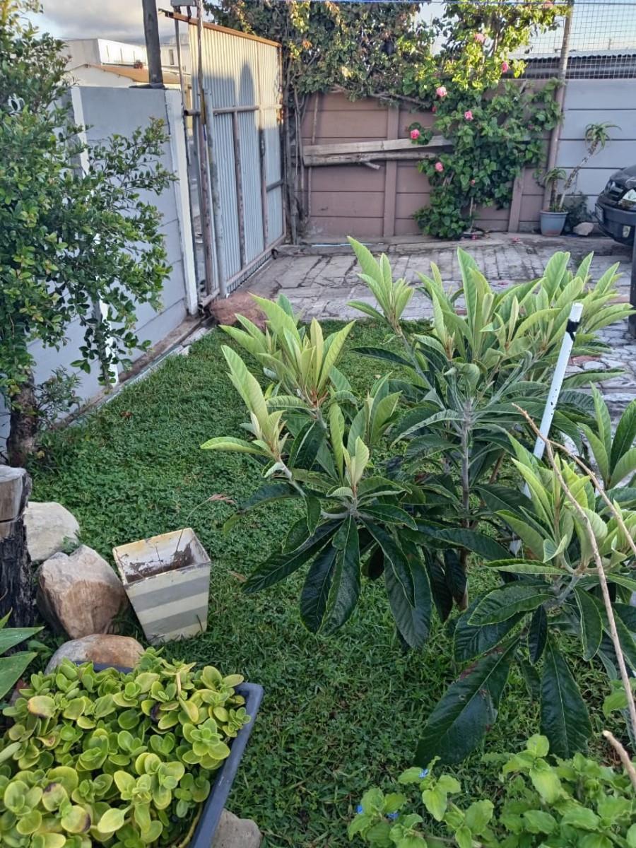 Image 4 of 6