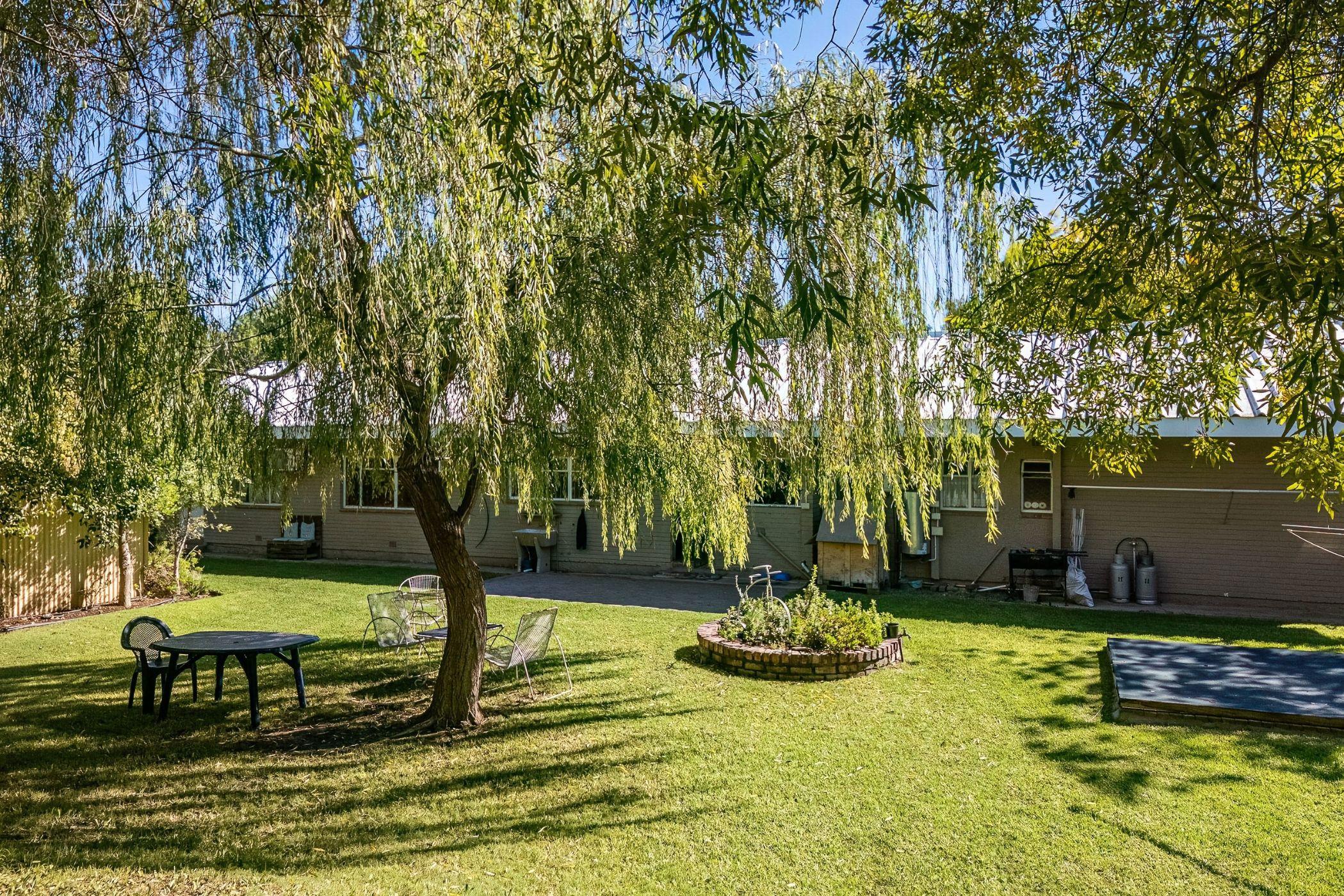 Image 29
