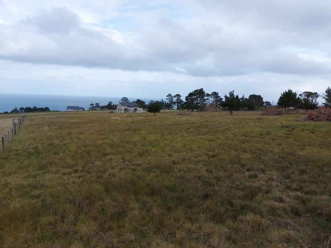 Image 14