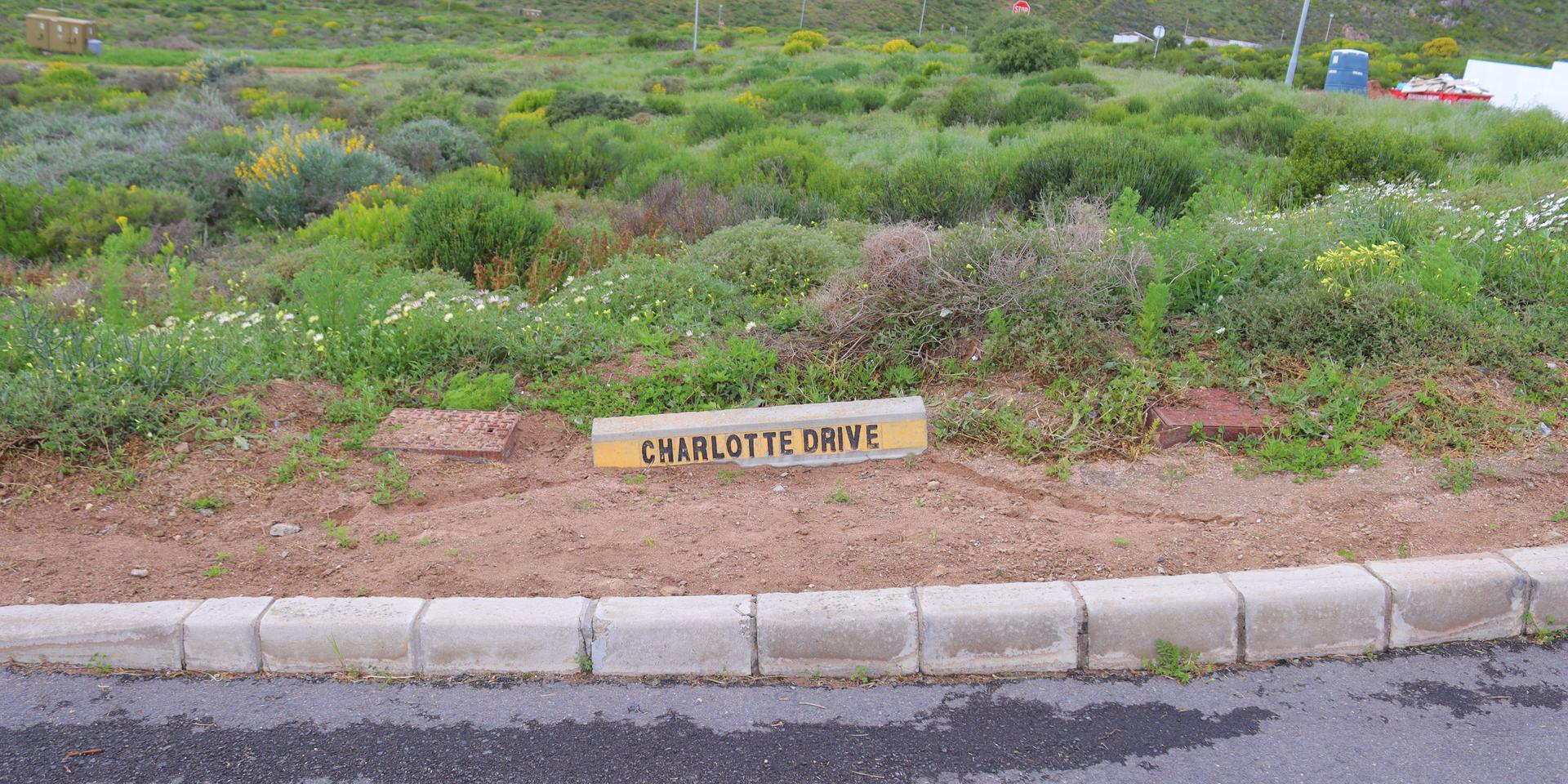 Image 4 of 6