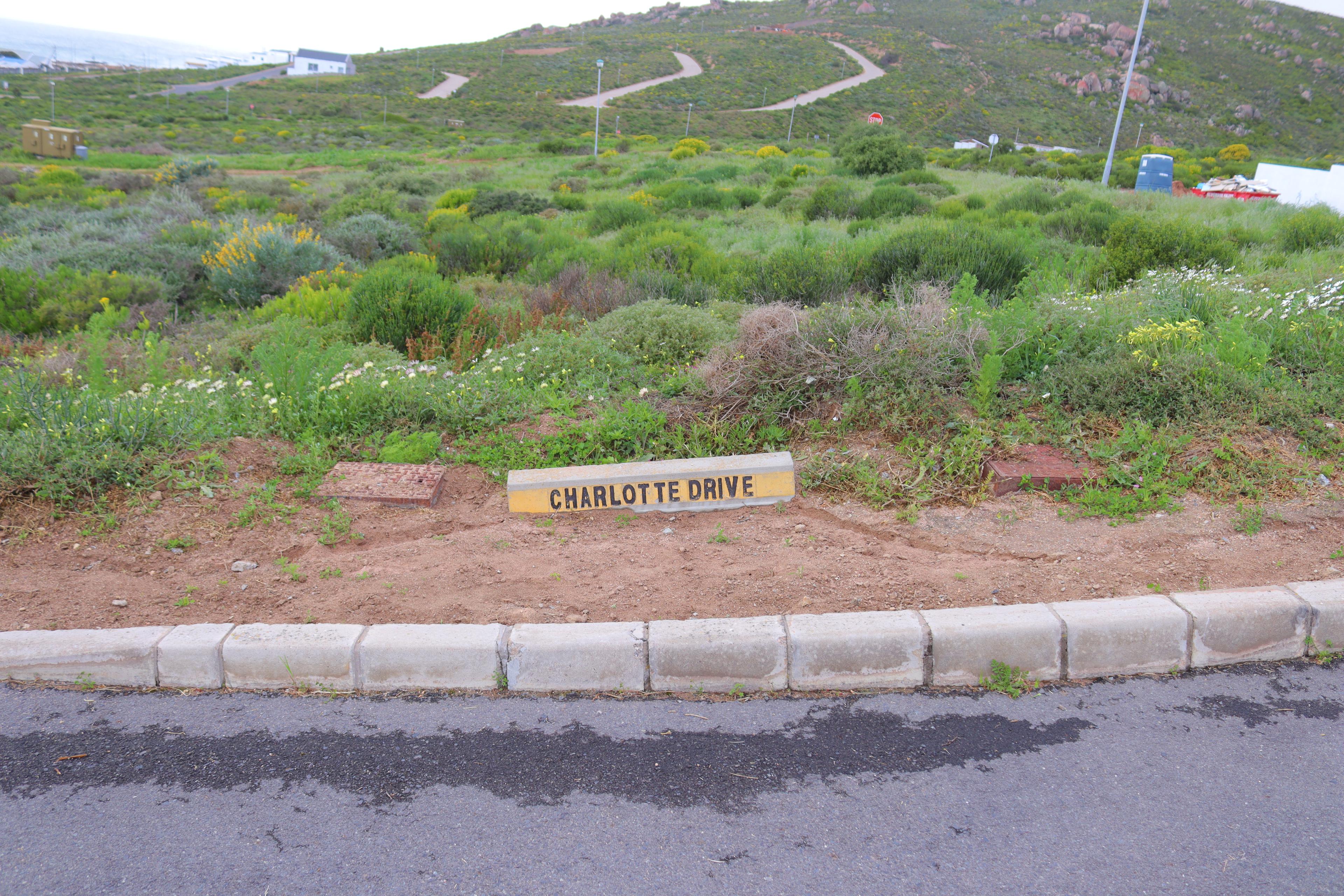 Image 4 of 6
