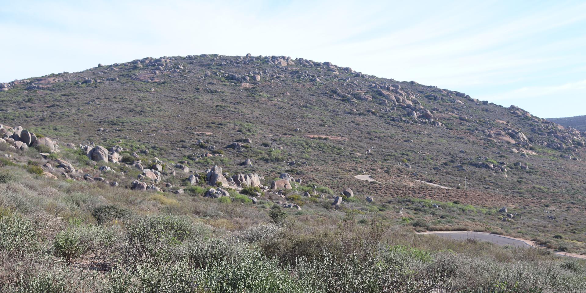Image 4 of 6