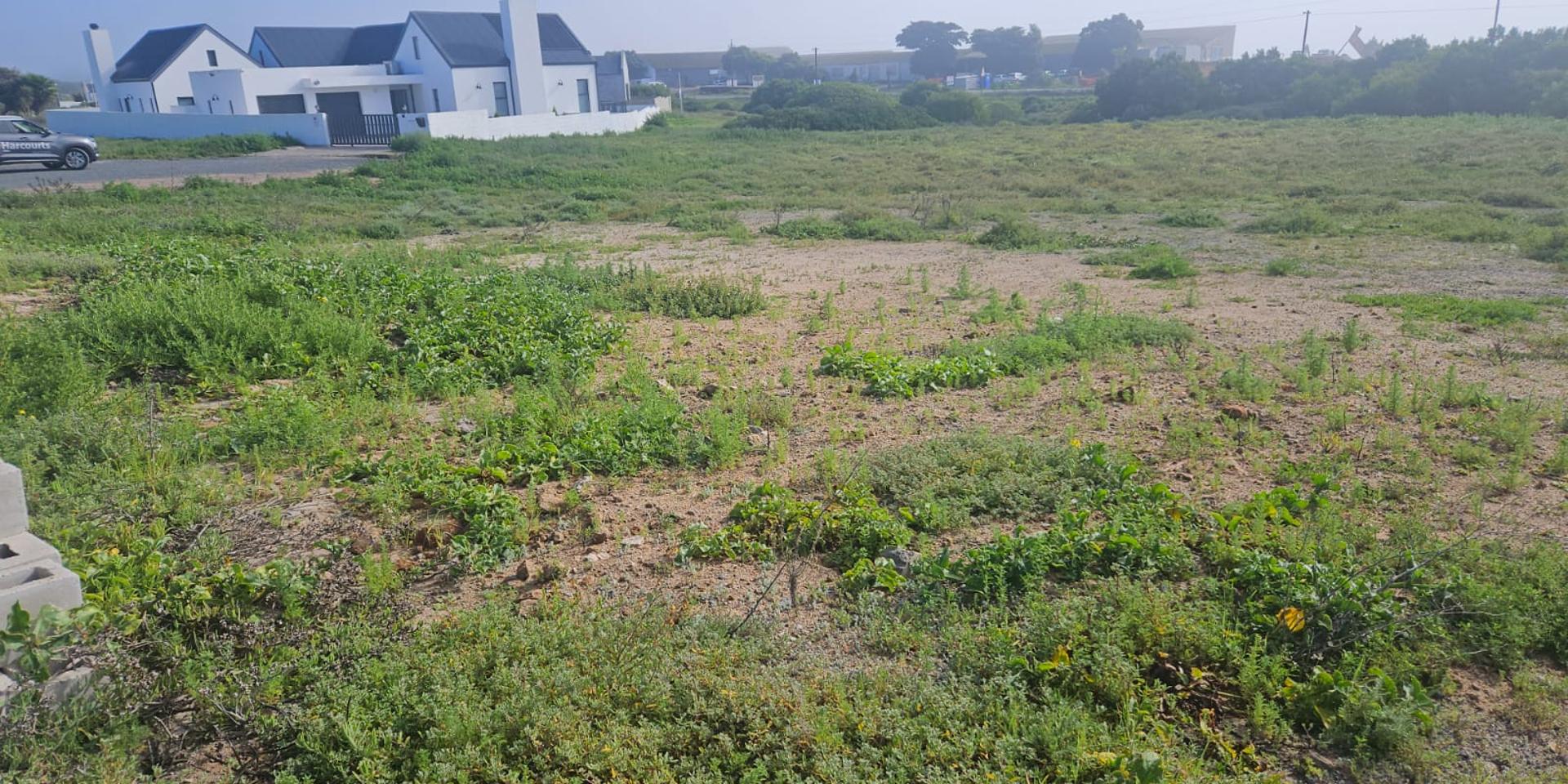 Image 4 of 6