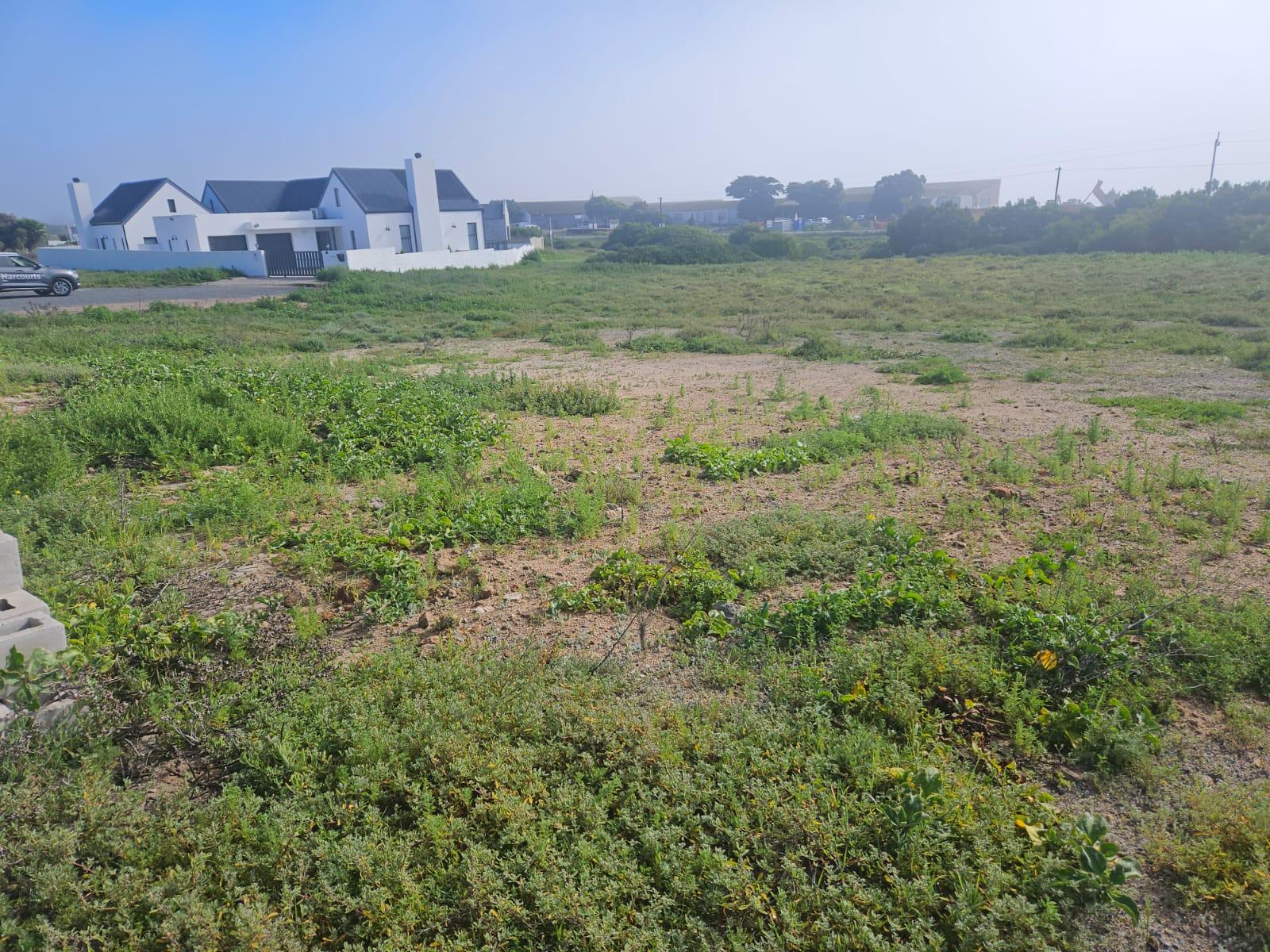 Image 4 of 6