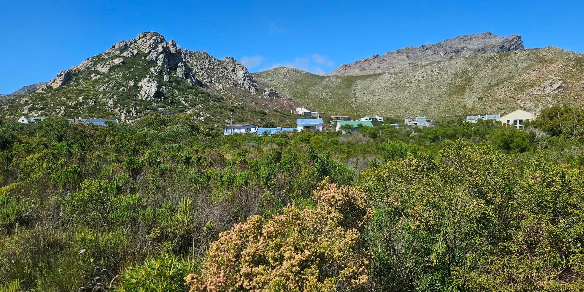 Image 4 of 6