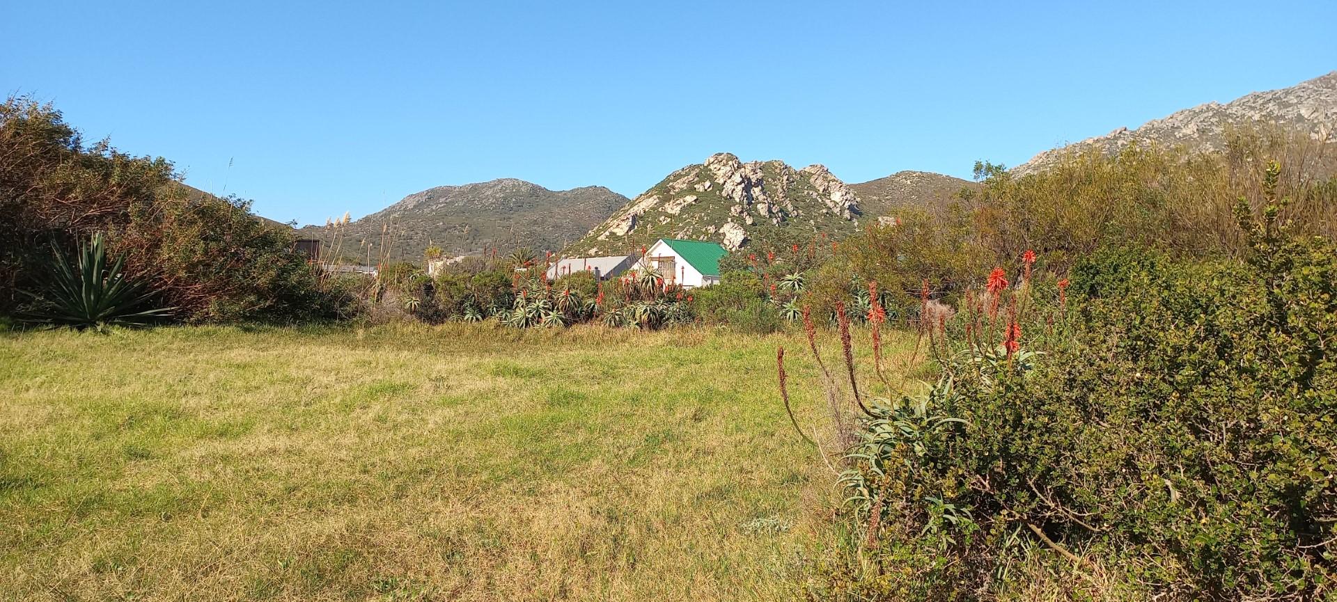 Image 5 of 6