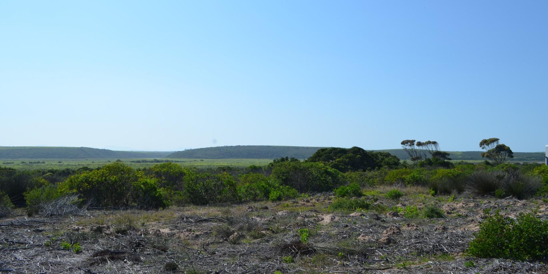 Image 4 of 6