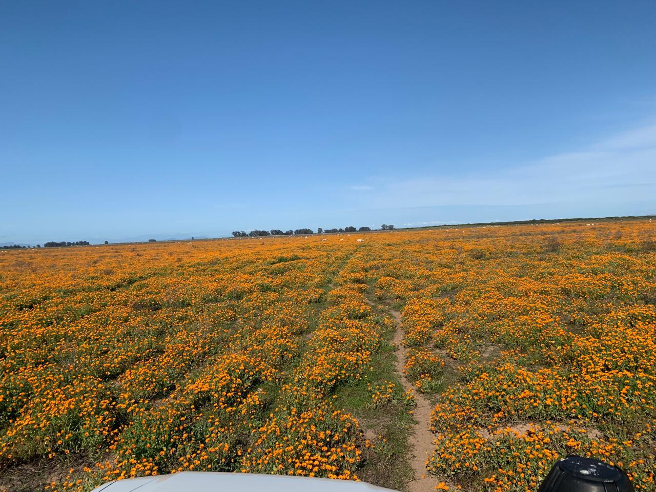Image 31