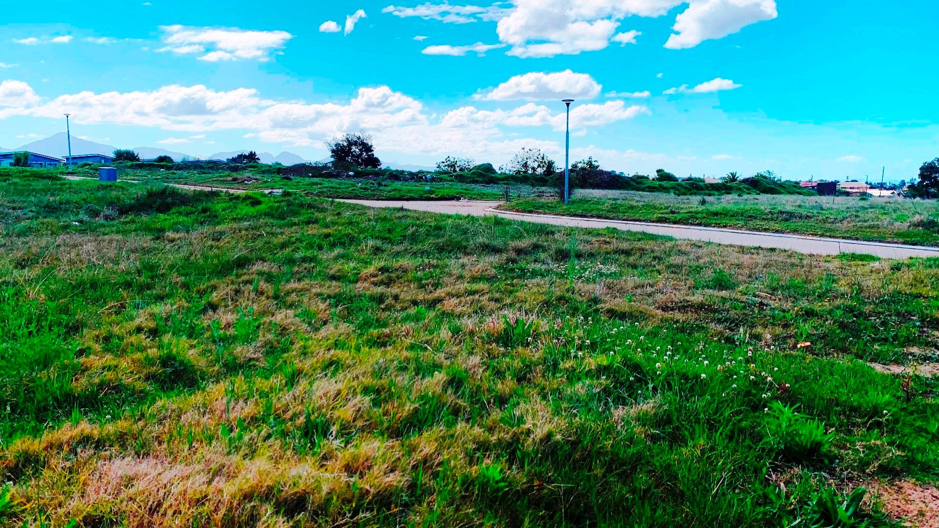 Image 5 of 6