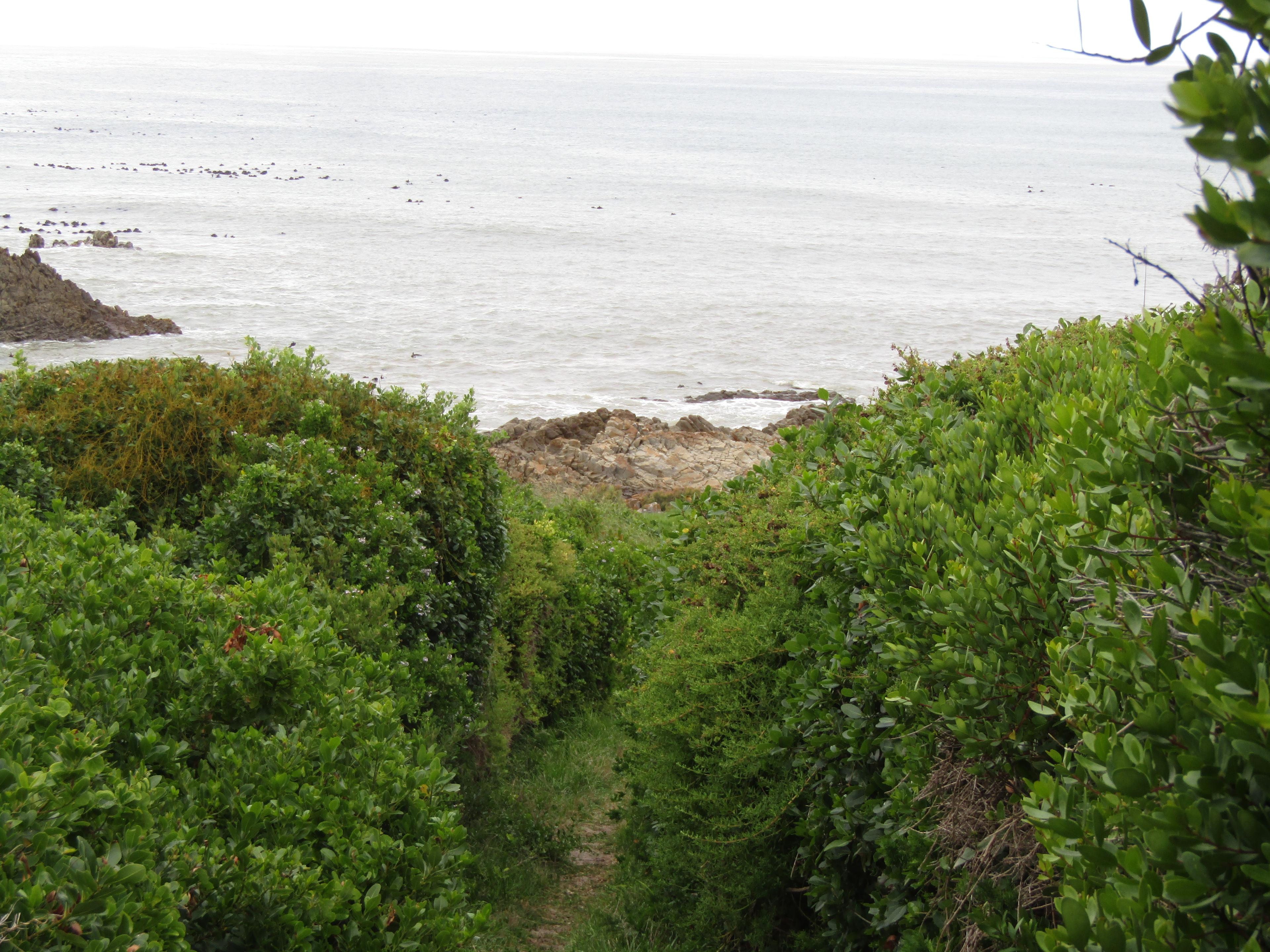 Image 13
