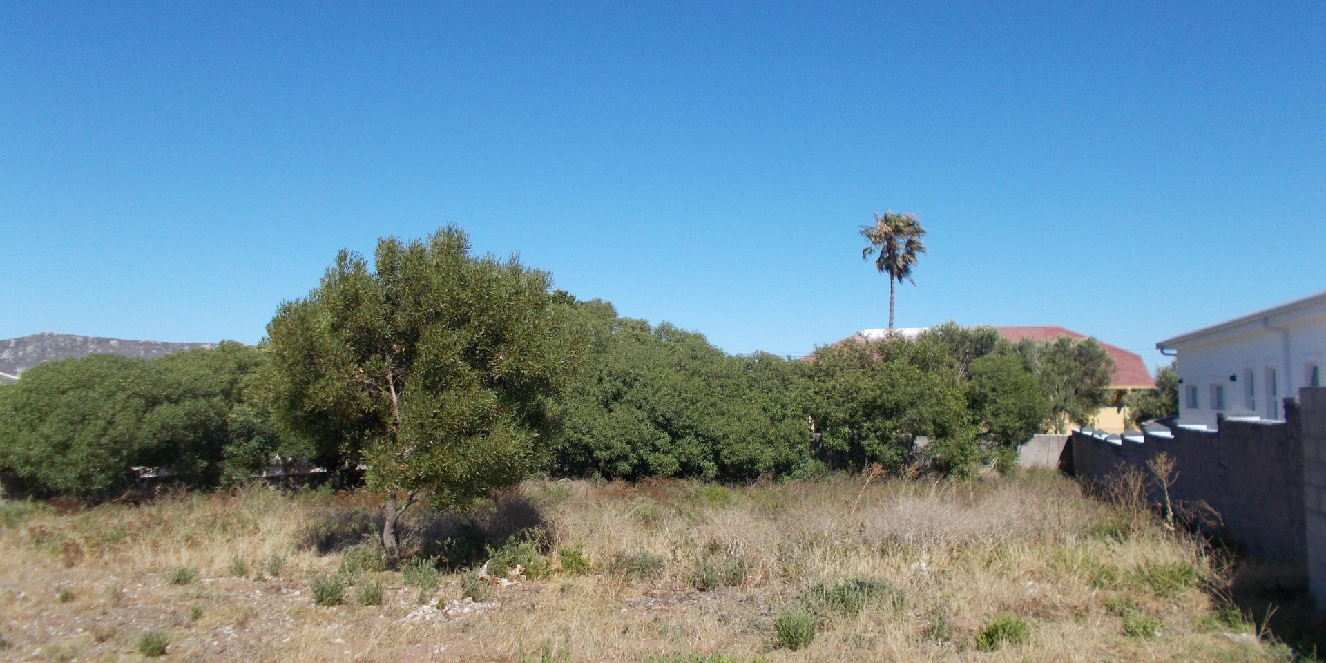 Image 5 of 6