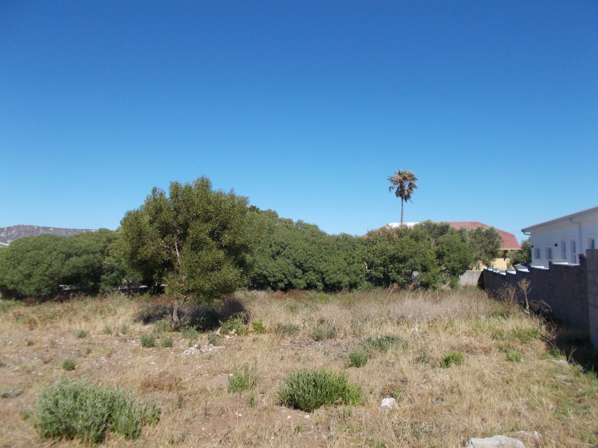 Image 5 of 6