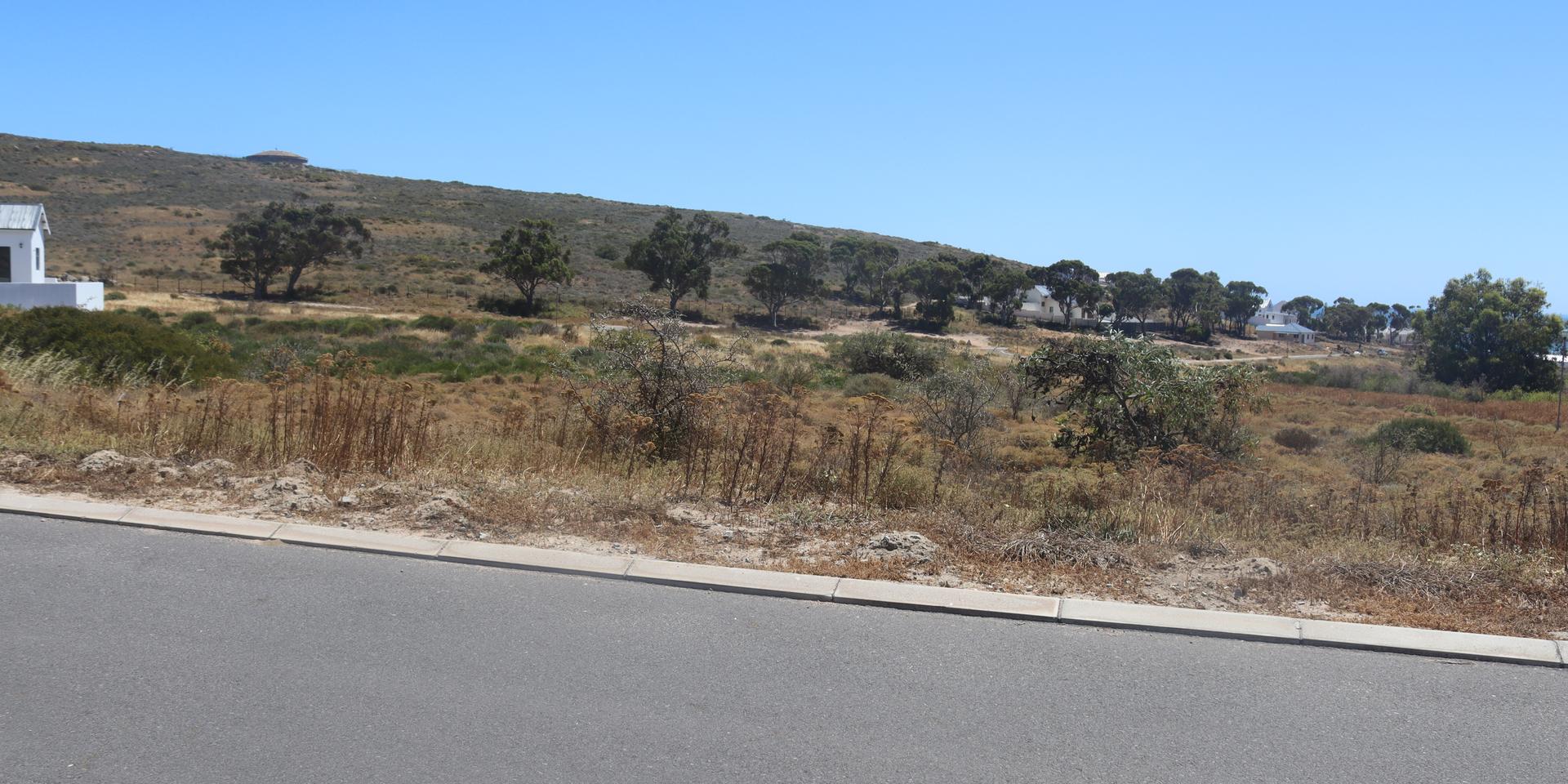 Image 4 of 6