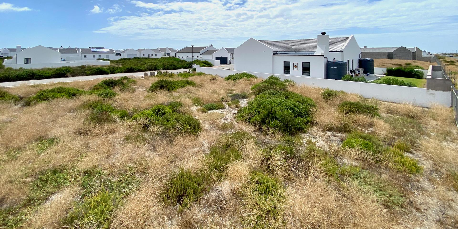 Image 5 of 6