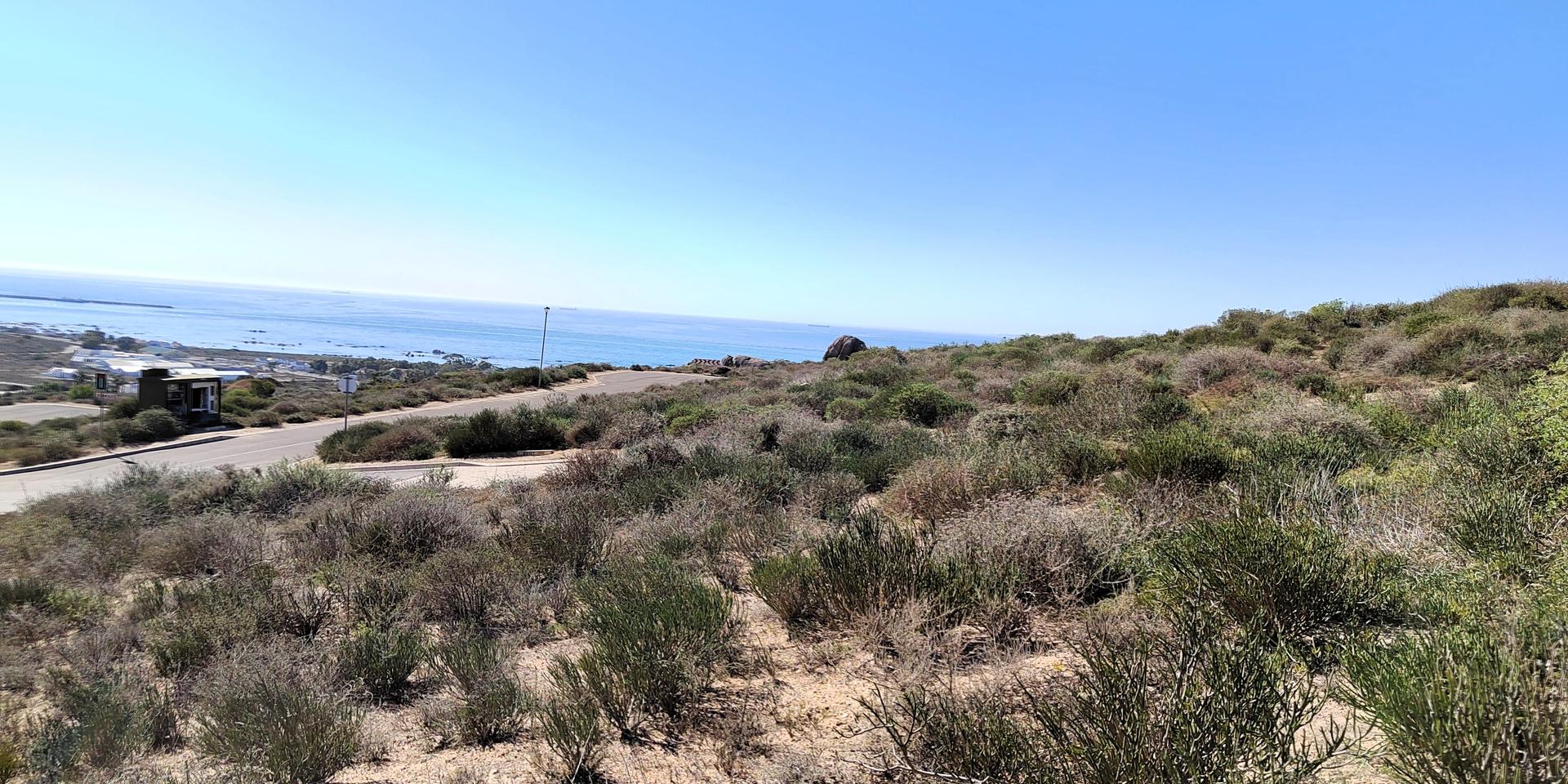 Image 5 of 6
