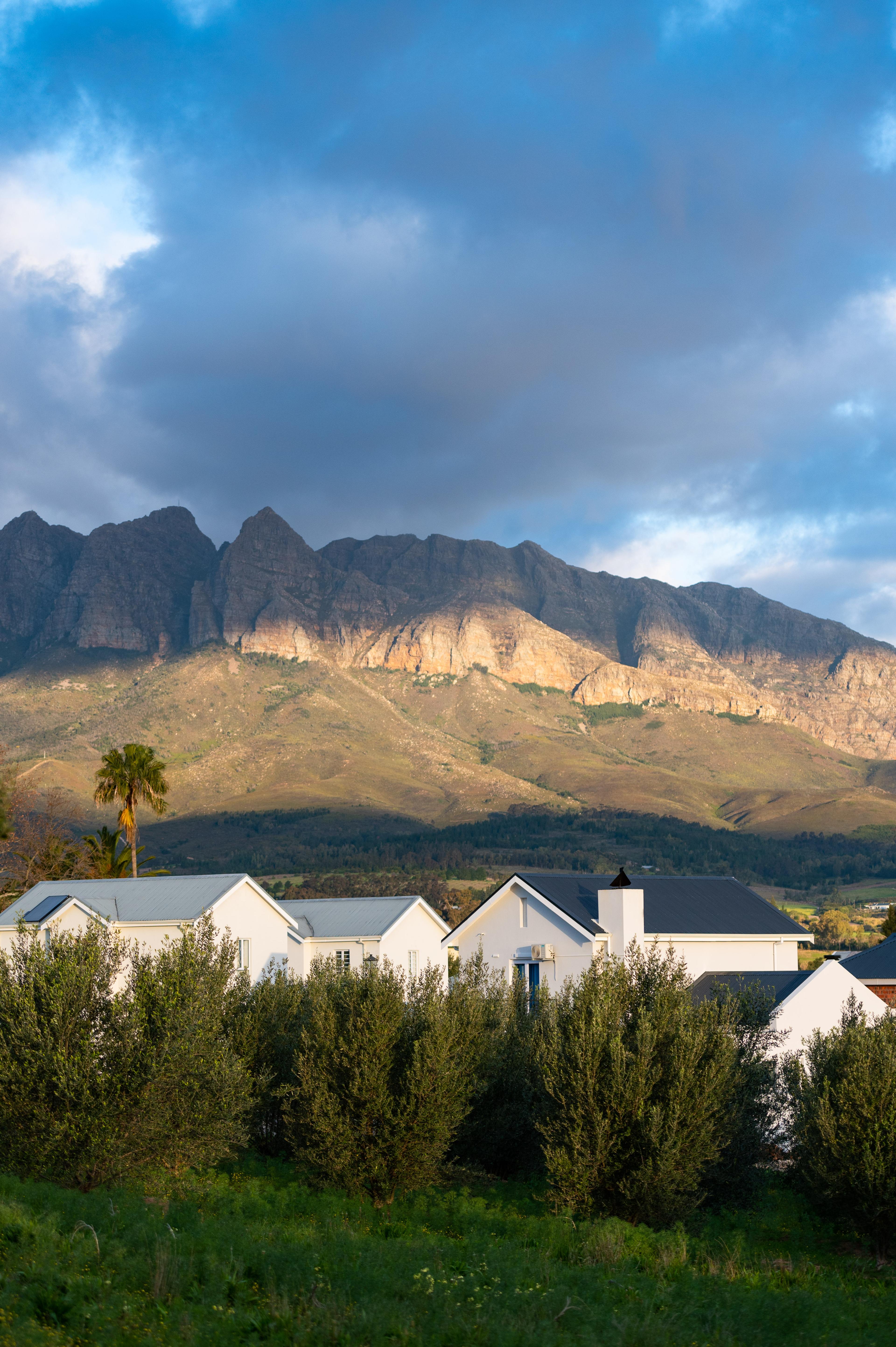 Image 23