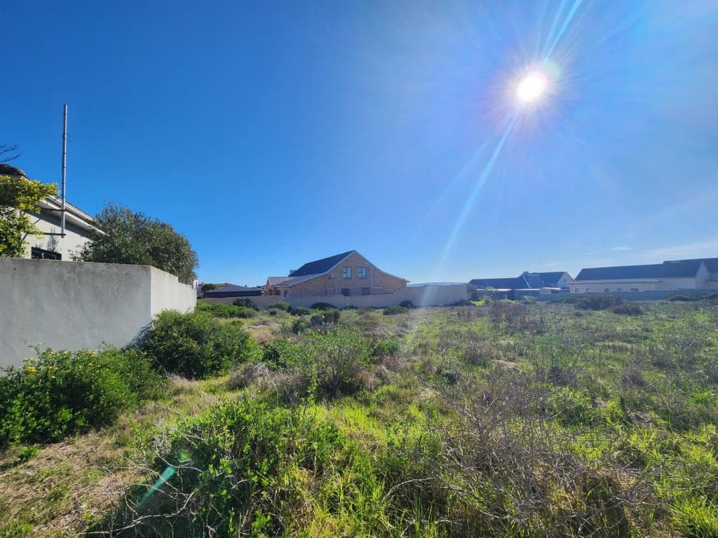 Image 4 of 6