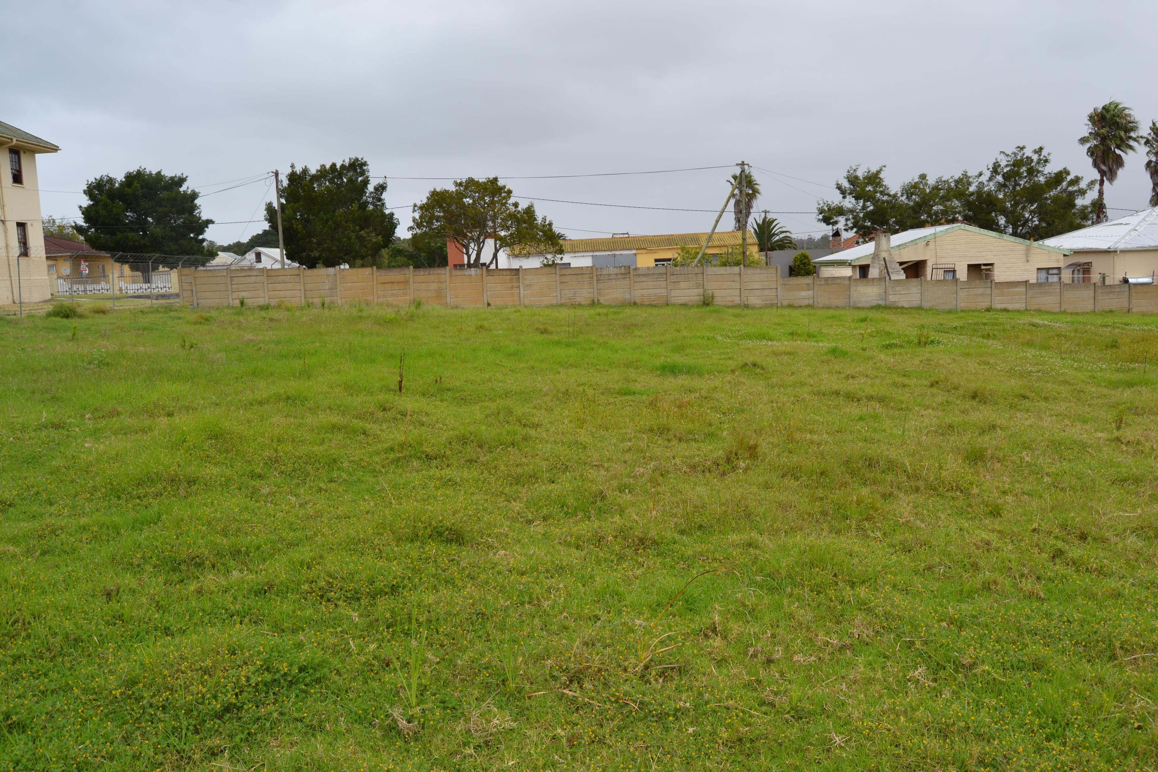 Image 12