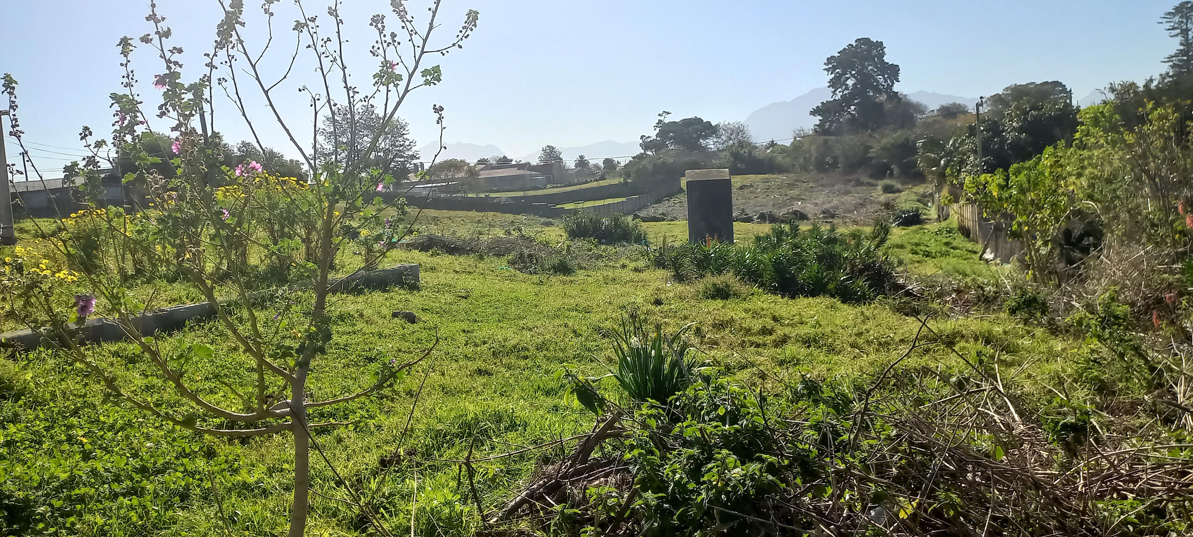 Image 4 of 6